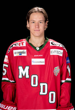 Modos Victor Berglund