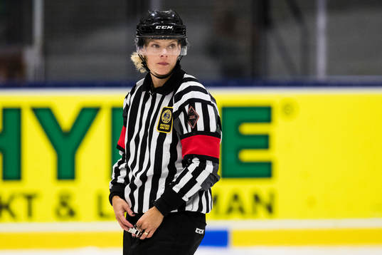 Domare Katarina Timglas