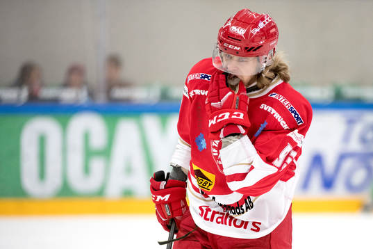 Trojas Nikolai Meyer deppar