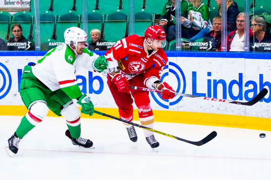 Bläddra bland fler bilder av Ishockey, Träningsmatch, Rögle - Troja/Ljungby