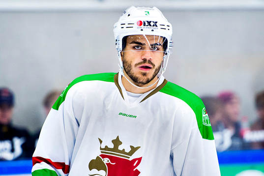 Rögles Almen Bibic