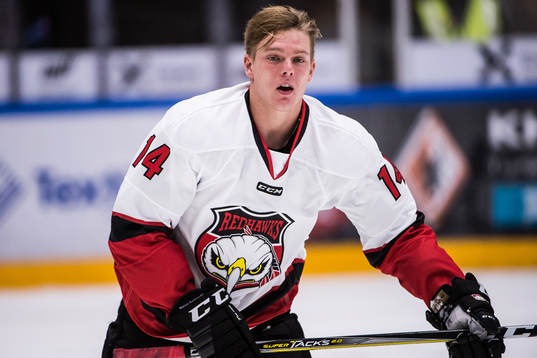 Malmö Redhawks Carl-Johan Lerby utan hjälm
