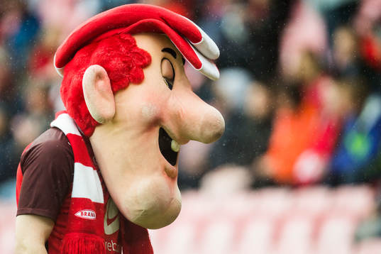 A mascot