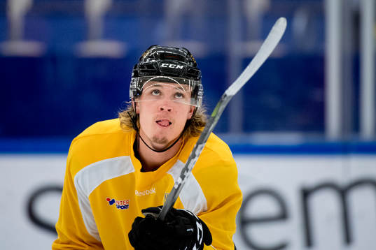 Jesper Mångs