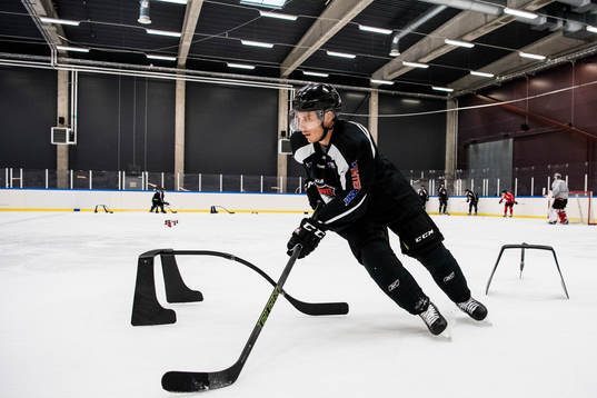Andy Miele
