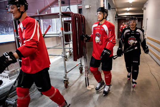 Lars Bryggman, Lukas Haudum och Andy Miele