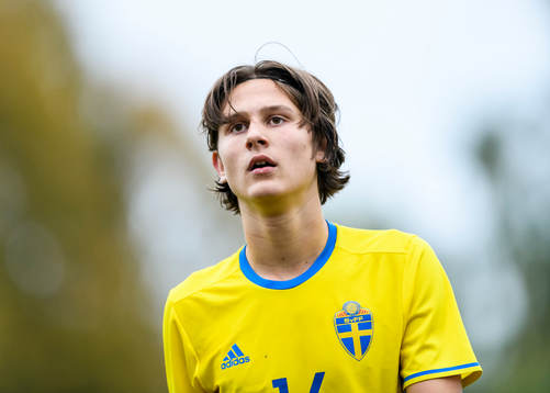 Sveriges Rasmus Wikström