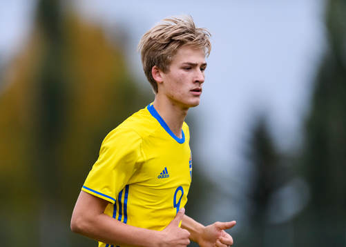 Sveriges Fredrik Hammar