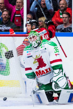 Malmö Redhawks Daniel Zaar jublar