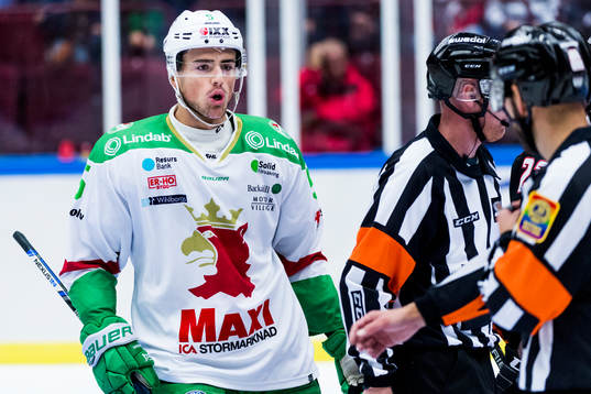 Rögles Alen Bibic