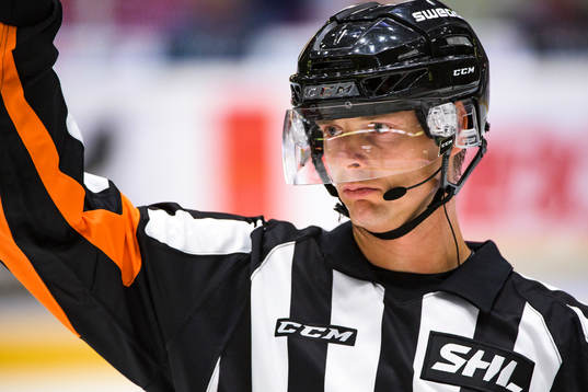 Domare Mikael Andersson