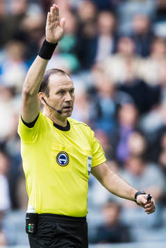 Domare Jonas Eriksson