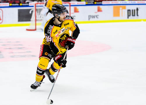 Luleås Ryan Johnston med pucken