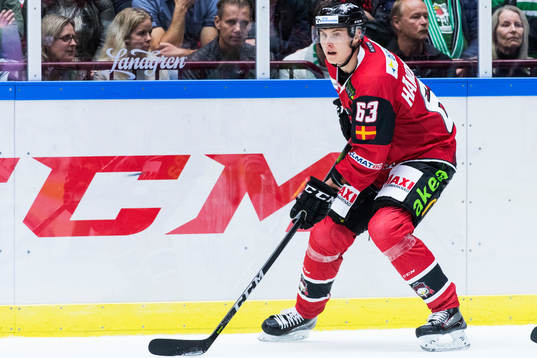 Malmö Redhawks Fredrik Händemark