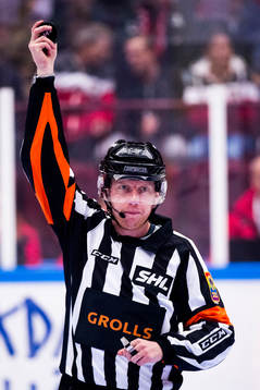Domare Mikael Holm