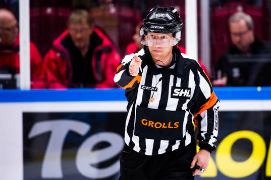 Domare Mikael Holm