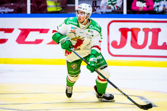 Rögles Alen Bibic