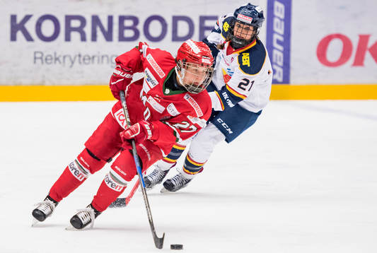 Bläddra bland fler bilder av Ishockey, dam, SDHL, Modo - Djurgården