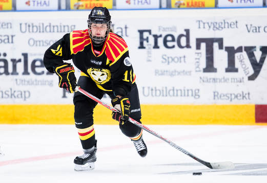 Brynäs Anna Borgqvist