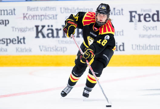 Brynäs Anna Borgqvist