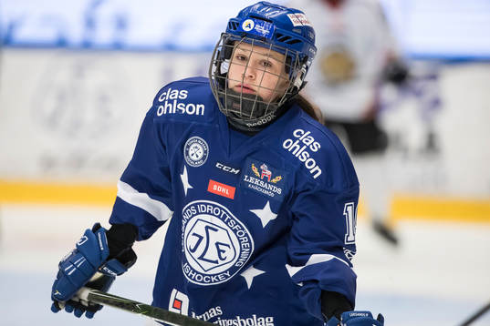 Leksands Liga Miljone  i ishockeymatchen i SDHL mellan