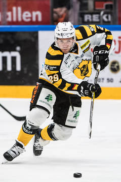 Skellefteås Matt Anderson