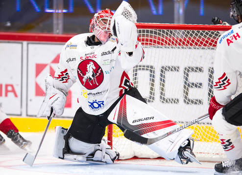 Vita Hästens målvakt Pontus Sjögren släpper in 1-0