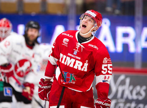 Timrås Vilmos Gallo