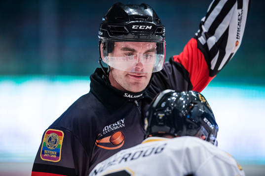 Domare Richard Magnusson
