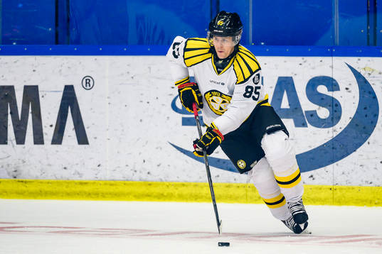 Brynäs Mikael Johansson