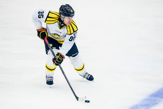 Brynäs Mikael Johansson