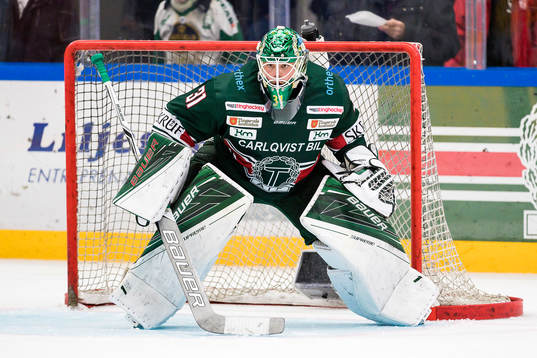 Tingsryds målvakt Niklas Rubin