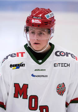 Modos Jesper Sellgren