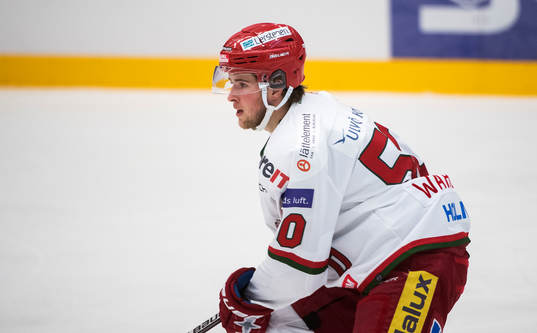 Modos Tim Wahlgren