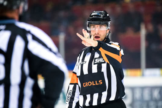 Domare Mikael Sjöqvist