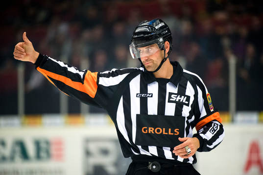 Domare Mikael Sjöqvist