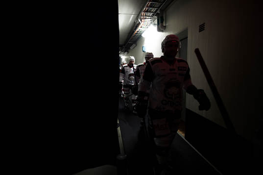 Malmö Redhawks spelare