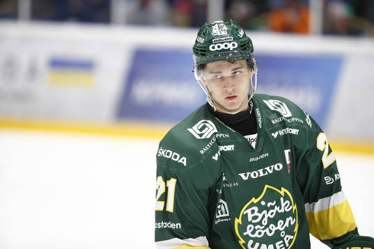 Björklövens Erik Rainersson