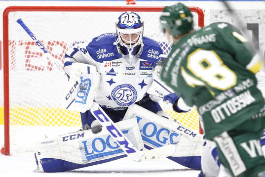 Leksands målvakt Tex Williamsson