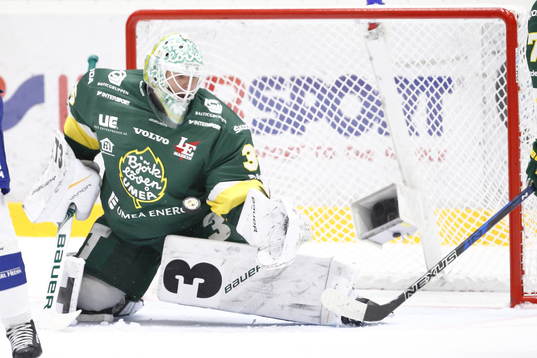 Björklövens målvakt Adam Werner