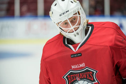 Malmö Redhawks målvakt Linus Gidbark innan