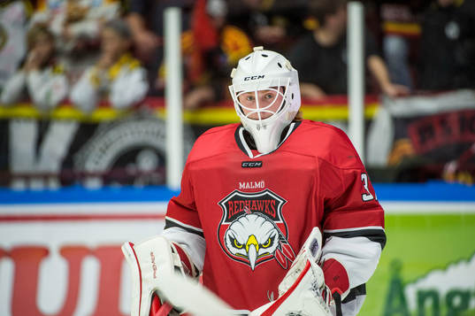 Malmö Redhawks målvakt Linus Gidbark innan