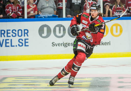 Malmö Redhawks Malte Setkov