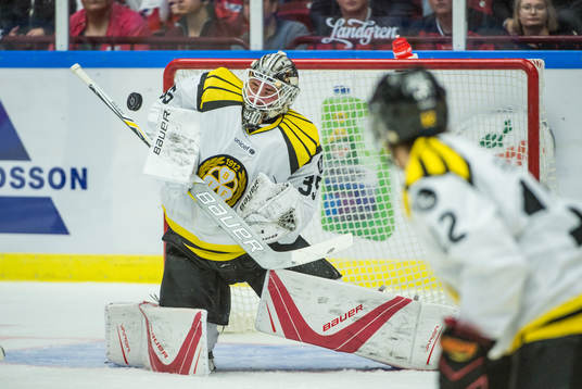 Brynäs målvakt David Rautio håller koll på pucken