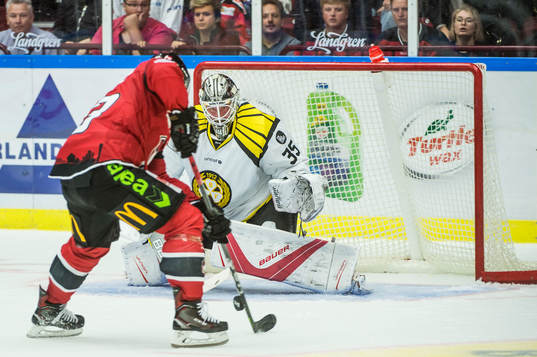Malmö Redhawks Malte Setkov mot Brynäs målvakt David