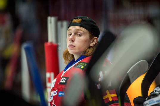 Malmö Redhawks målvakt Linus Gidbark i båset