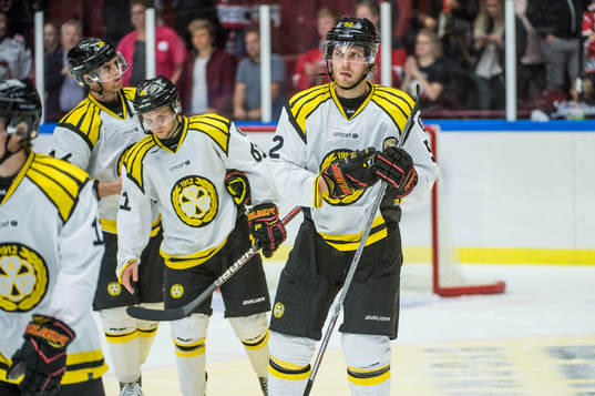 Brynäs Christopher Liljewall deppar med lagkamraterna