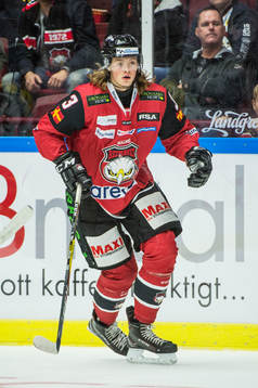 Malmö Redhawks Malte Setkov