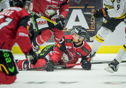 Malmö Redhawks Daniel Zaar på isen