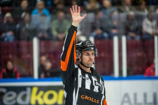 Domaren Patric Bjälkander